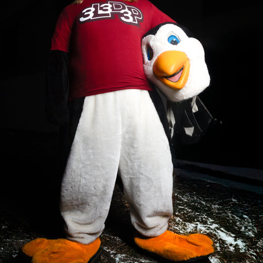 IN CHICAGO : T-SHIRT